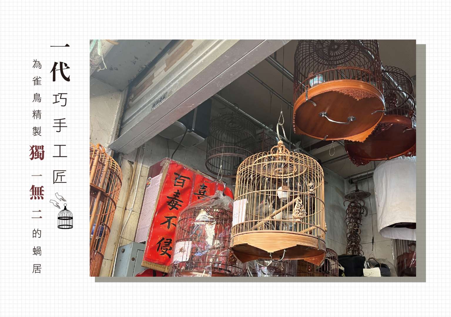 一代手工匠為雀鳥精製獨一無二的蝸居– 專業叢書統籌組